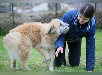 Eva - Voller Tatendrang in eine gute Zukunft