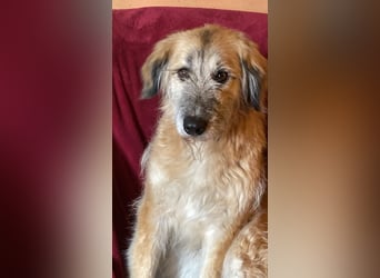 Eva - Voller Tatendrang in eine gute Zukunft