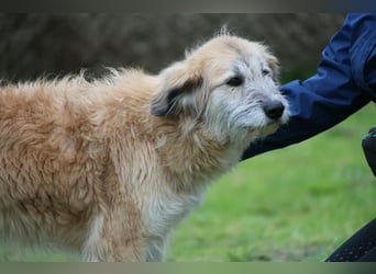 Eva - Voller Tatendrang in eine gute Zukunft