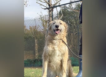 Eva - Die Zeiten ändern sich