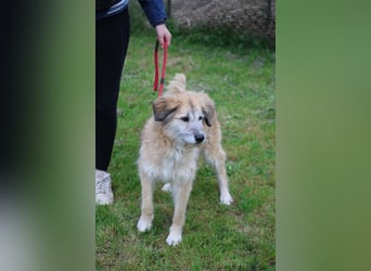 Eva - Voller Tatendrang in eine gute Zukunft