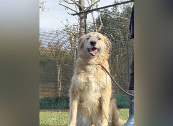 Eva - Voller Tatendrang in eine gute Zukunft