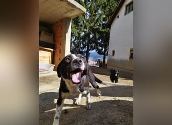 Menschenbezogene Frida