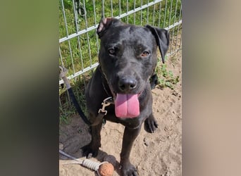 Bruno sucht erfahrene Menschen