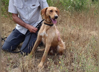 *R*I*C*O* hatte kein gutes Zuhause - das soll sich jetzt ändern !