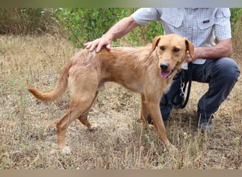 *R*I*C*O* hatte kein gutes Zuhause - das soll sich jetzt ändern !