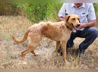 *R*I*C*O* hatte kein gutes Zuhause - das soll sich jetzt ändern !