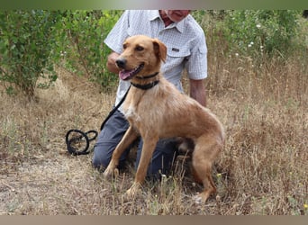 *R*I*C*O* hatte kein gutes Zuhause - das soll sich jetzt ändern !