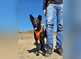 Yuna sucht ihre Familie