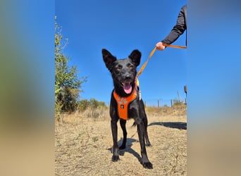 Yuna sucht ihre Familie