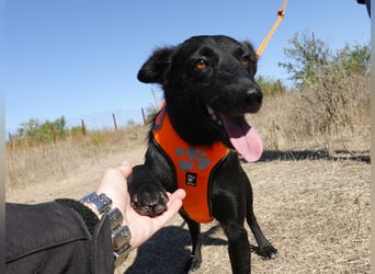 Yuna sucht ihre Familie