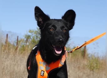 Yuna sucht ihre Familie