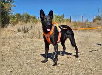 Yuna sucht ihre Familie