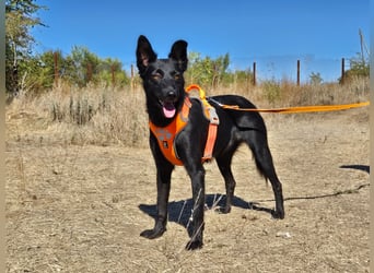 Yuna sucht ihre Familie