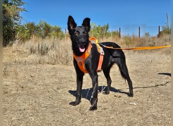 Yuna sucht ihre Familie