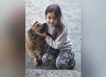 ED HARDY gerettet aus Horror Tötung Slatina, Ostern'22