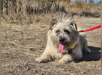 Clark sucht ein neues Zuhause