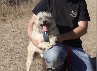 Clark sucht ein neues Zuhause