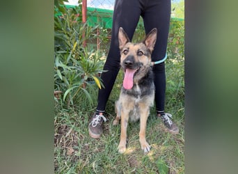 Norka möchte einfach dazugehören