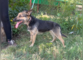 Norka möchte einfach dazugehören