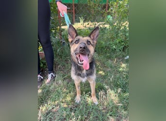 Norka möchte einfach dazugehören