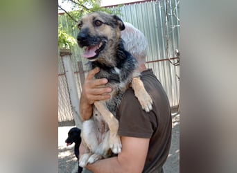 Norka möchte einfach dazugehören