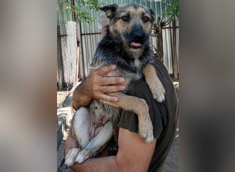 Norka möchte einfach dazugehören