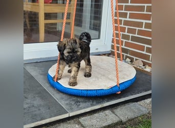 Unsere Fröhliche Bande sucht ein neues Zuhause