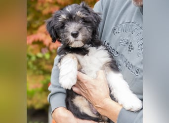 Unser Felix sucht ein neues Zuhause