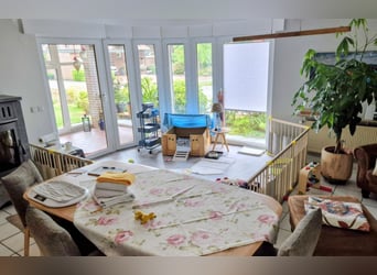 Unsere Fröhliche Bande sucht ein neues Zuhause