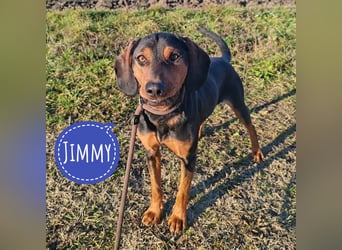 Jimmy braucht Liebe