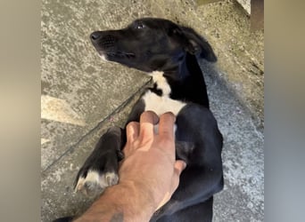 Mimi eine traurige Seele