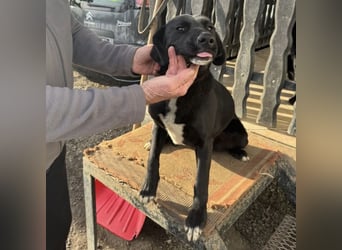 Mimi eine traurige Seele