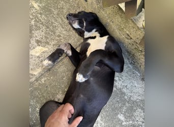 Mimi eine traurige Seele