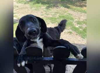 Mimi eine traurige Seele