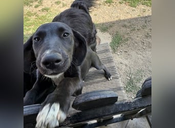 Mimi eine traurige Seele