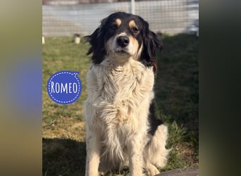 Romeo ein Menschenliebender