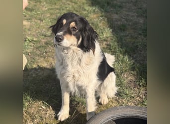 Romeo ein Menschenliebender