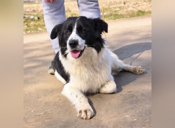 Melly ein Traumwesen