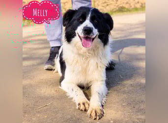 Melly ein Traumwesen