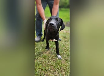 Anny & Nana vom Gnadenhof in den Bergen von Nordmazedonien