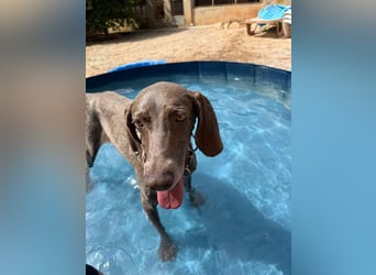 Fita ist eine neugierig und kluge Schmuserin