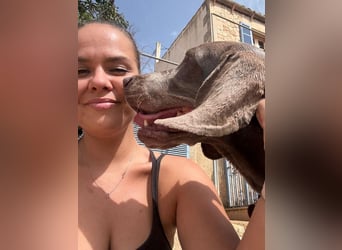 Fita ist eine neugierig und kluge Schmuserin