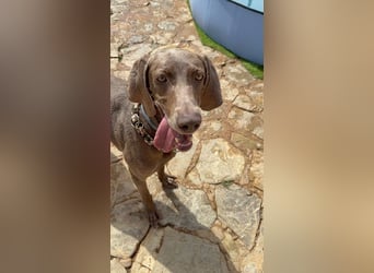 Fita ist eine neugierig und kluge Schmuserin