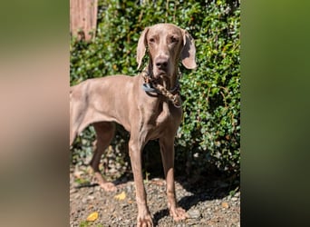 Fita ist eine neugierig und kluge Schmuserin