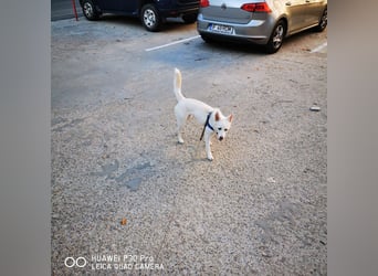 Nea 7 Monate alt,  Notfall