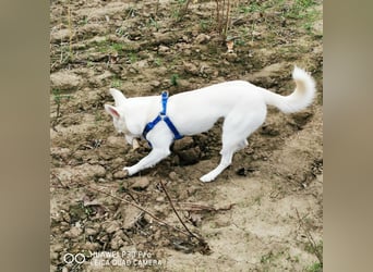 Nea 7 Monate alt,  Notfall