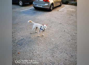 Nea 7 Monate alt,  Notfall