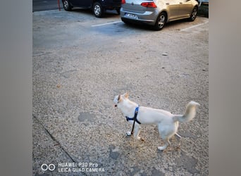 Nea 7 Monate alt,  Notfall