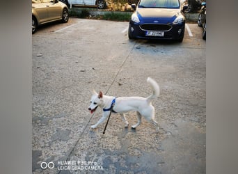 Nea 7 Monate alt,  Notfall